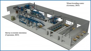 центр селекции пшеницы